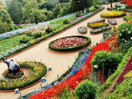 Flower Garden Visit